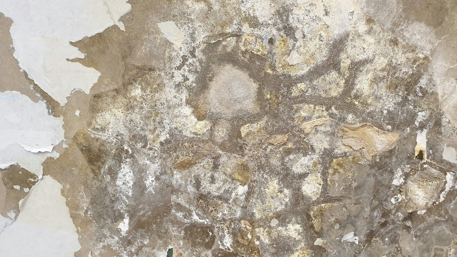 humedad por capilaridad en pared interior de casa